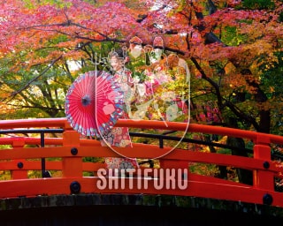 金箔1枚単位の販売について